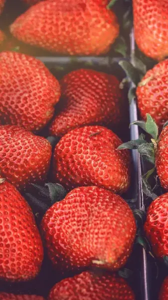  بک گراند توت فرنگی قرمز برای گوشی