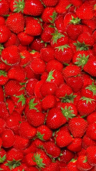  بک گراند توت فرنگی قرمز برای گوشی