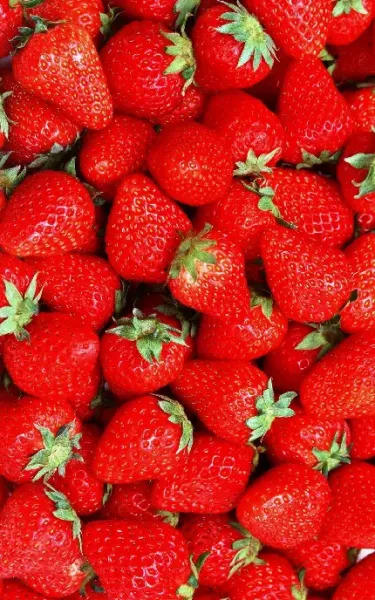  والپیپر توت فرنگی برای آیفون