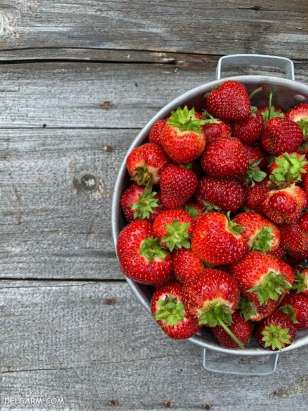  عکس پس زمینه خفن توت فرنگی برای گوشی