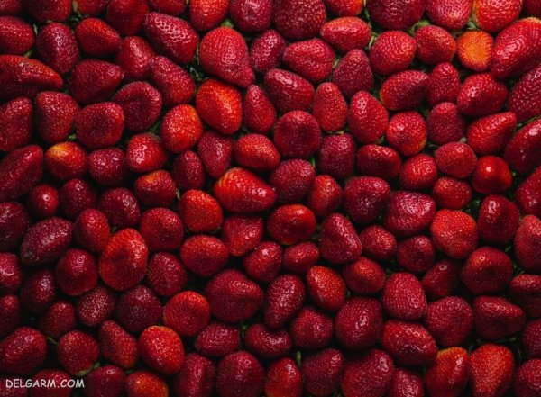  عکس پس زمینه خفن توت فرنگی برای گوشی