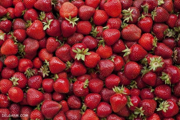  عکس پس زمینه خفن توت فرنگی برای گوشی