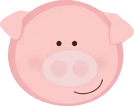  عکس خوک فانتزی