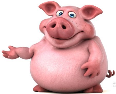 عکس خوک فانتزی برای پروفایل