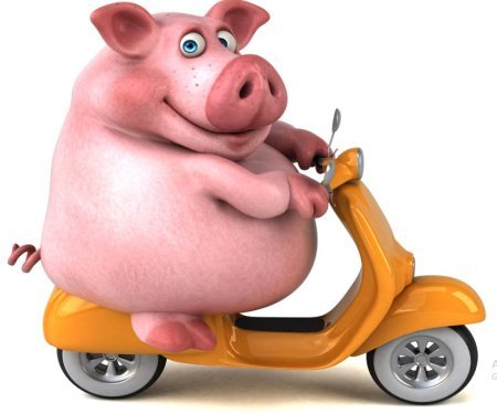  عکس خوک فانتزی برای پروفایل