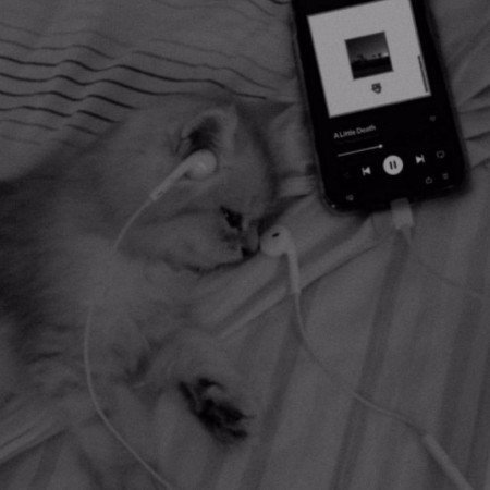  دانلود عکس موسیقی