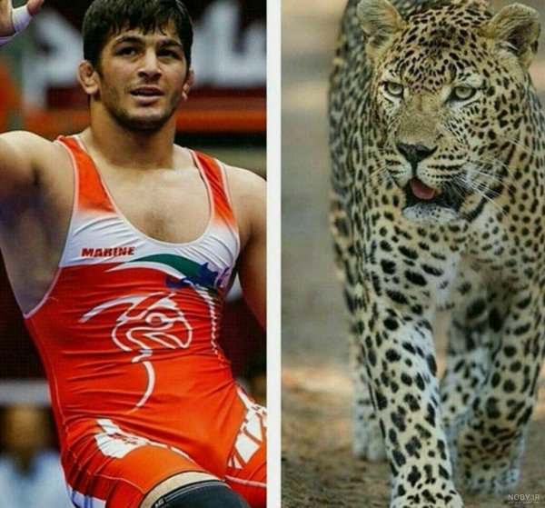  عکس حسن یزدانی برای پروفایل