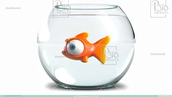  عکس پروفایل ماهی های کارتونی
