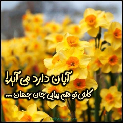  عکس پروفایل آبان ماهی جدید