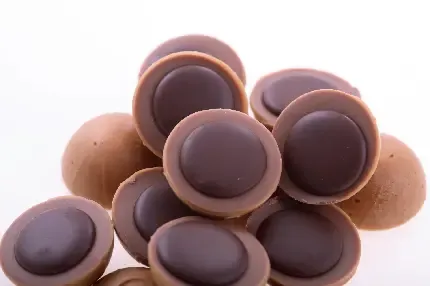  عکس انواع شکلات کاکائو