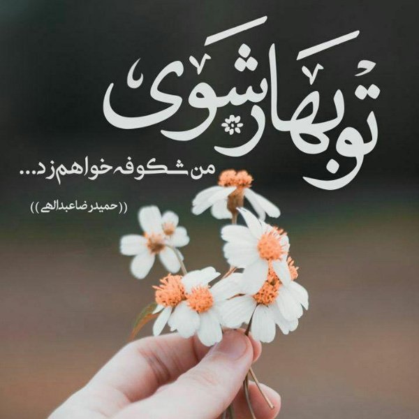  عکس نوشته های زیبا و خاص