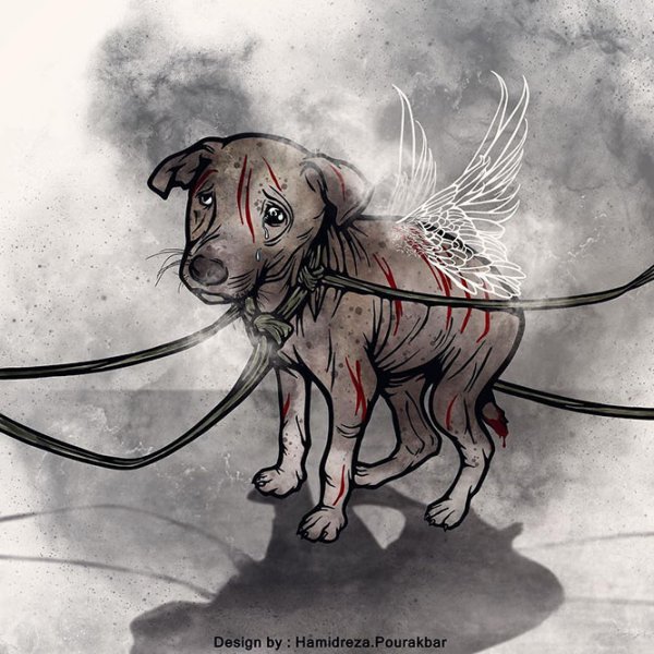  عکس انسانیت بدون متن