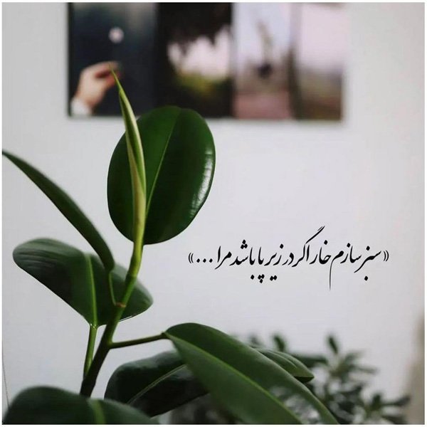  عکس پروفایل اخلاقی زیبا