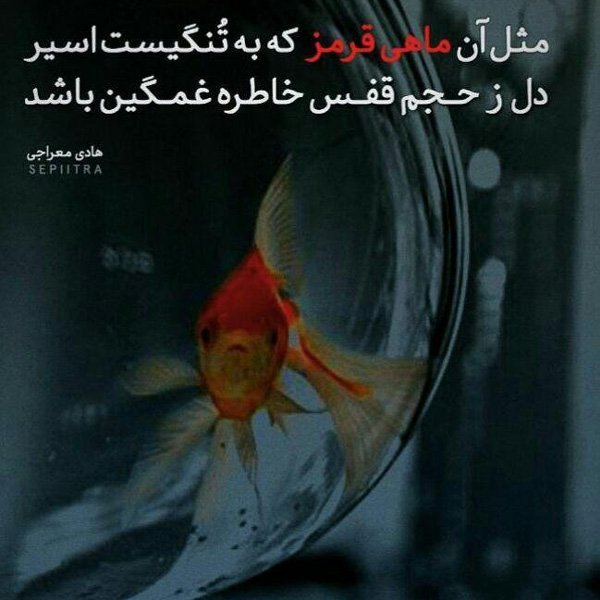  عکس پروفایل اخلاقی زیبا