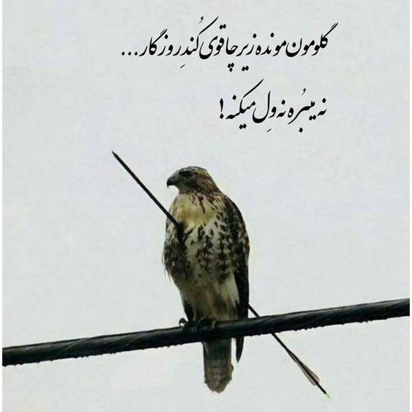  عکس پروفایل اخلاقی زیبا