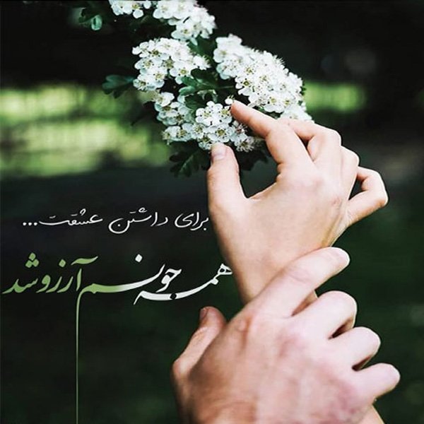  عکس نوشته عاشقانه لاکچری