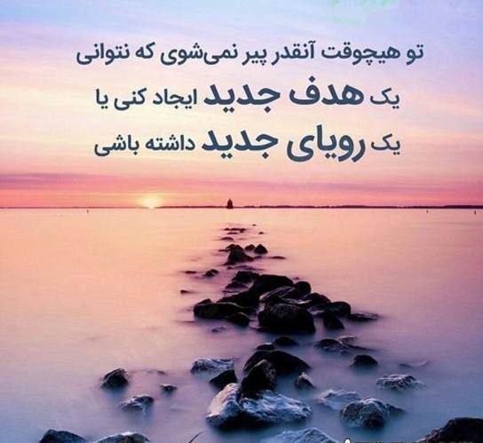 پروفایل موفقیت و تلاش