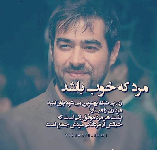 پروفایل موفقیت و تلاش