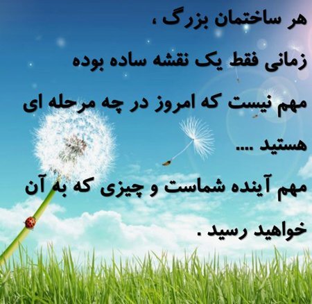 پروفایل موفقیت و تلاش