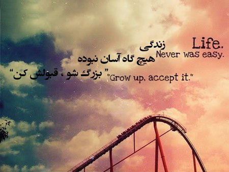 پروفایل موفقیت و تلاش