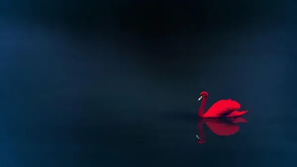  بک گراند قوهای سفید زیبا