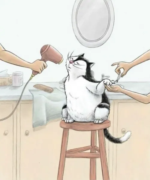 عکس پروفایل گربه و دختر