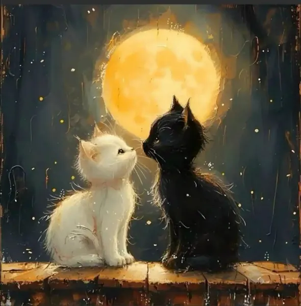 عکس پروفایل گربه و دختر