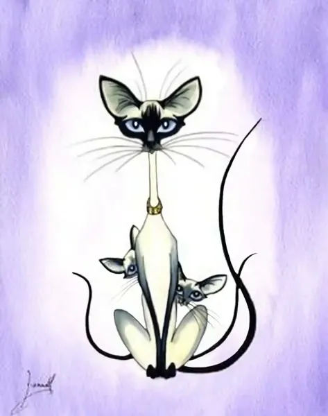 عکس پروفایل گربه و دختر