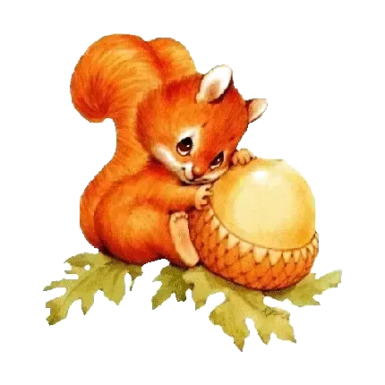  عکس سنجاب با دم پشمالو برای پروفایل