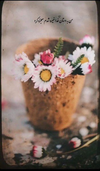  عکس استوری آموزنده و مفهومی