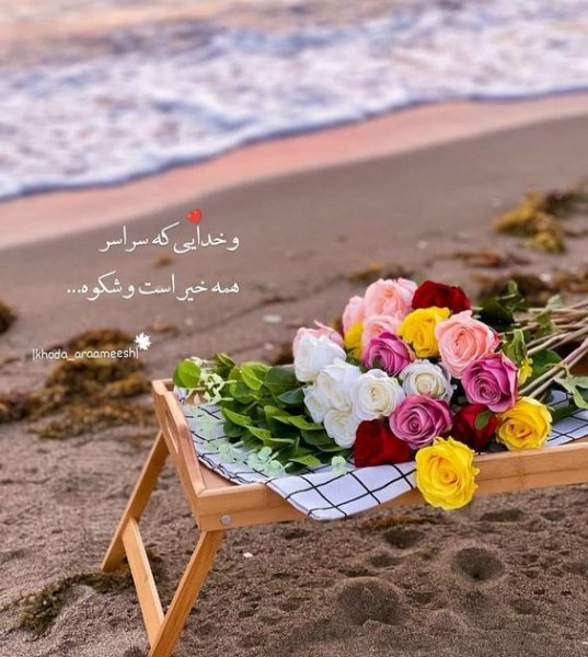  عکس استوری آموزنده و مفهومی