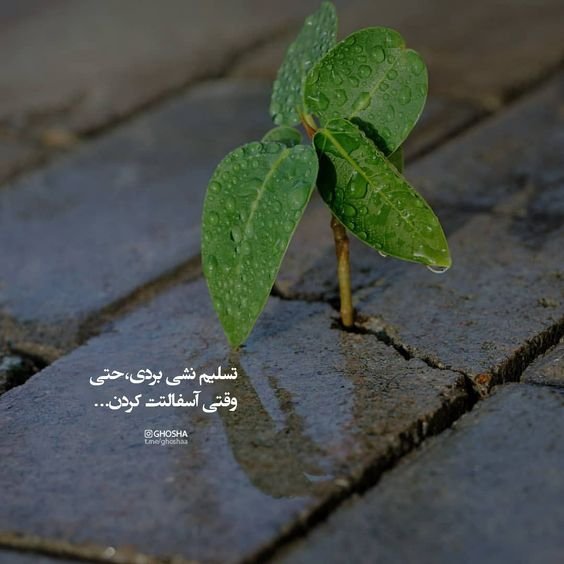  عکس استوری آموزنده و مفهومی