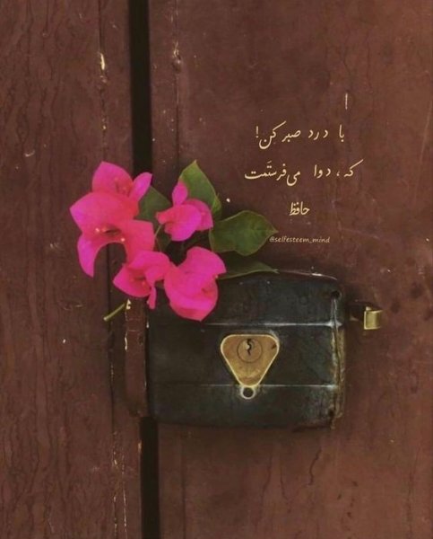  عکس استوری آموزنده و مفهومی