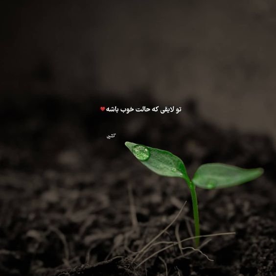  عکس استوری آموزنده و مفهومی