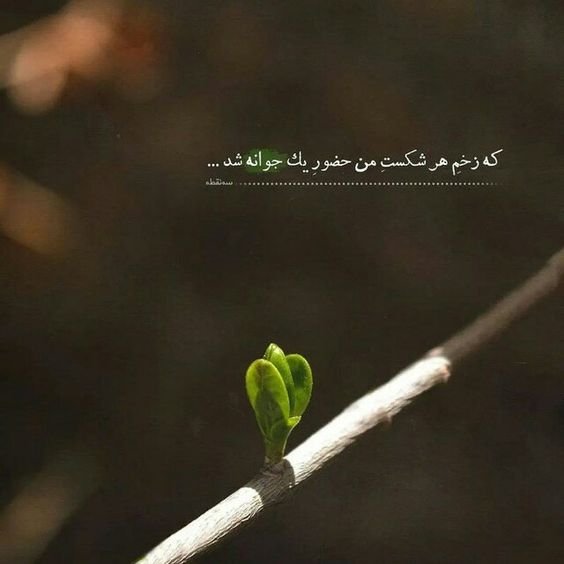  عکس استوری آموزنده و مفهومی