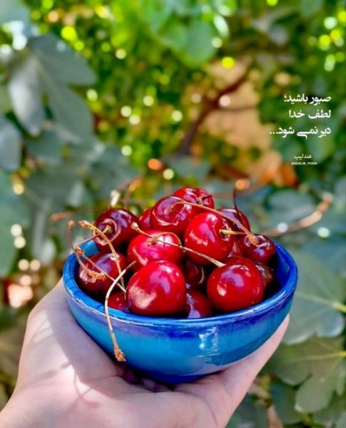  عکس استوری آموزنده و مفهومی