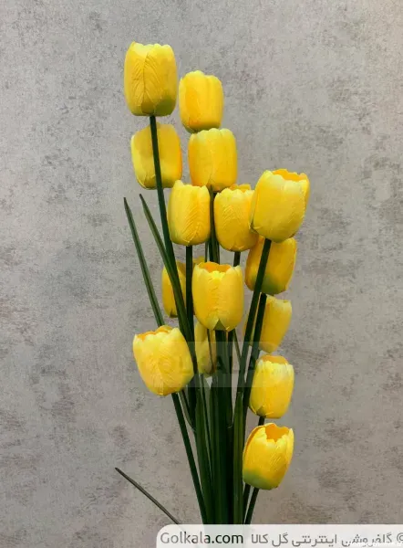  عکس پس زمینه گل های لاله خوشگل