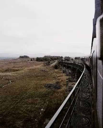  عکس ریل قطار طبیعی