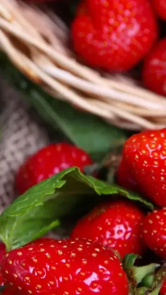 عکس آلبالو برای پروفایل