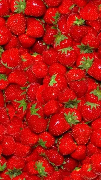 عکس آلبالو برای پروفایل