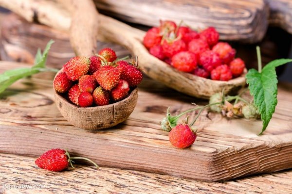 عکس توت فرنگی نقاشی