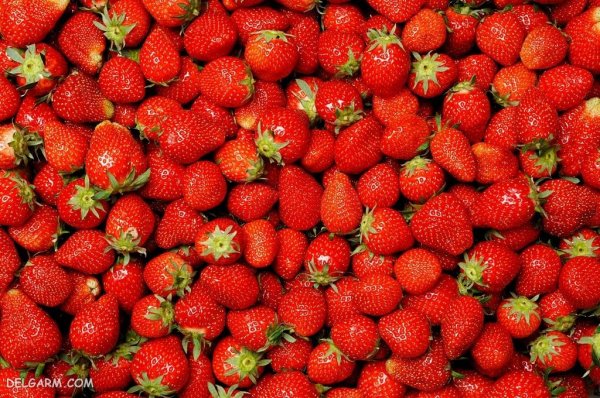  بک گراند توت فرنگی های تازه برای موبایل