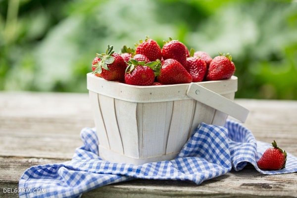  بک گراند توت فرنگی های تازه برای موبایل