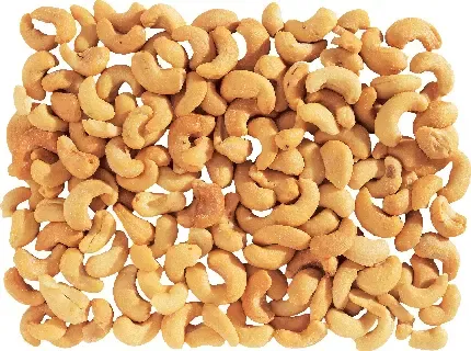  پروفایل ساعت شنی