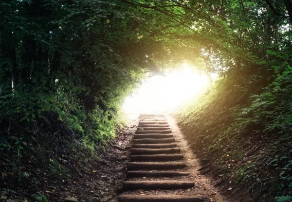  دانلود عکس پله با کیفیت بالا