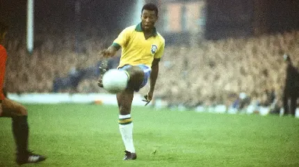  تصویر زمینه پله فوتبالیست