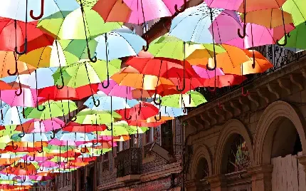  عکس چتر شیک و لاکچری