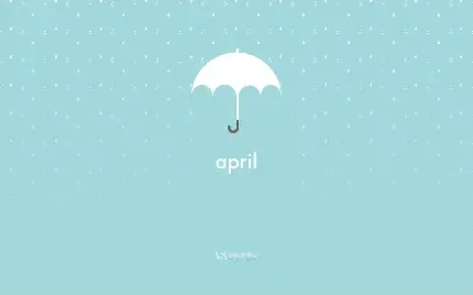  عکس چتر شیک و لاکچری