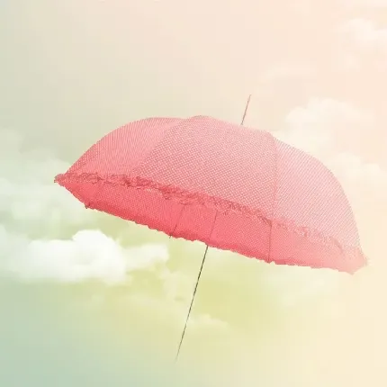  عکس چتر شیک و لاکچری