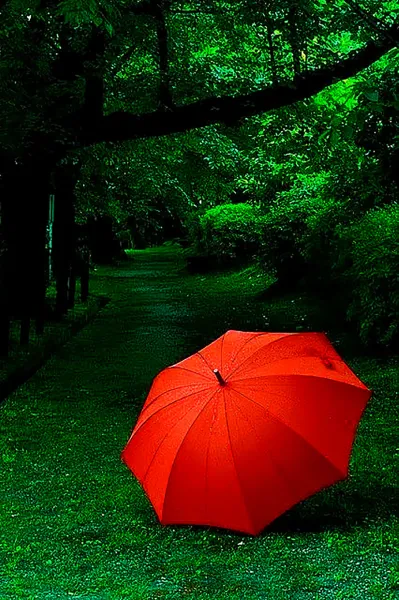 عکس باران برای پروفایل